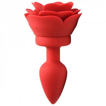 Anal Vibrators