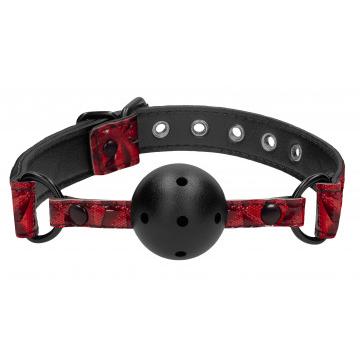 Ball and Mouth Gags