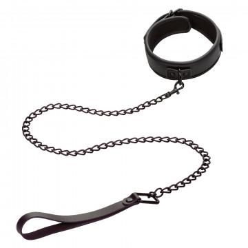 Collars and Leashes
